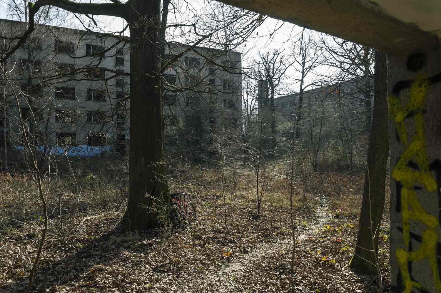 Auf dem gesamten Gelände konnte sich eine schützenswerte Vegetation entwickeln Hof im Kasernengelände