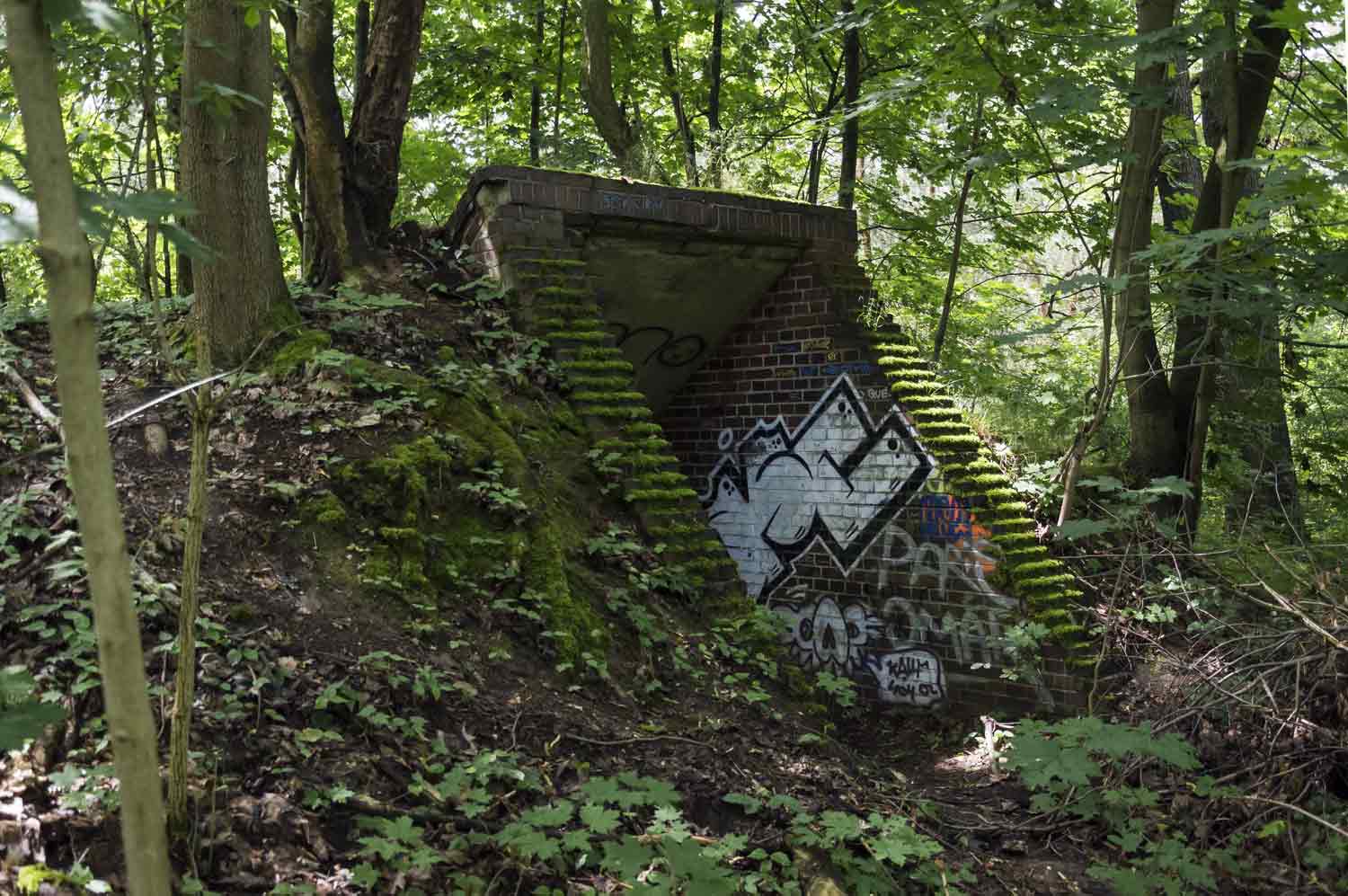 Bunkereingang im sommerlichen Grün