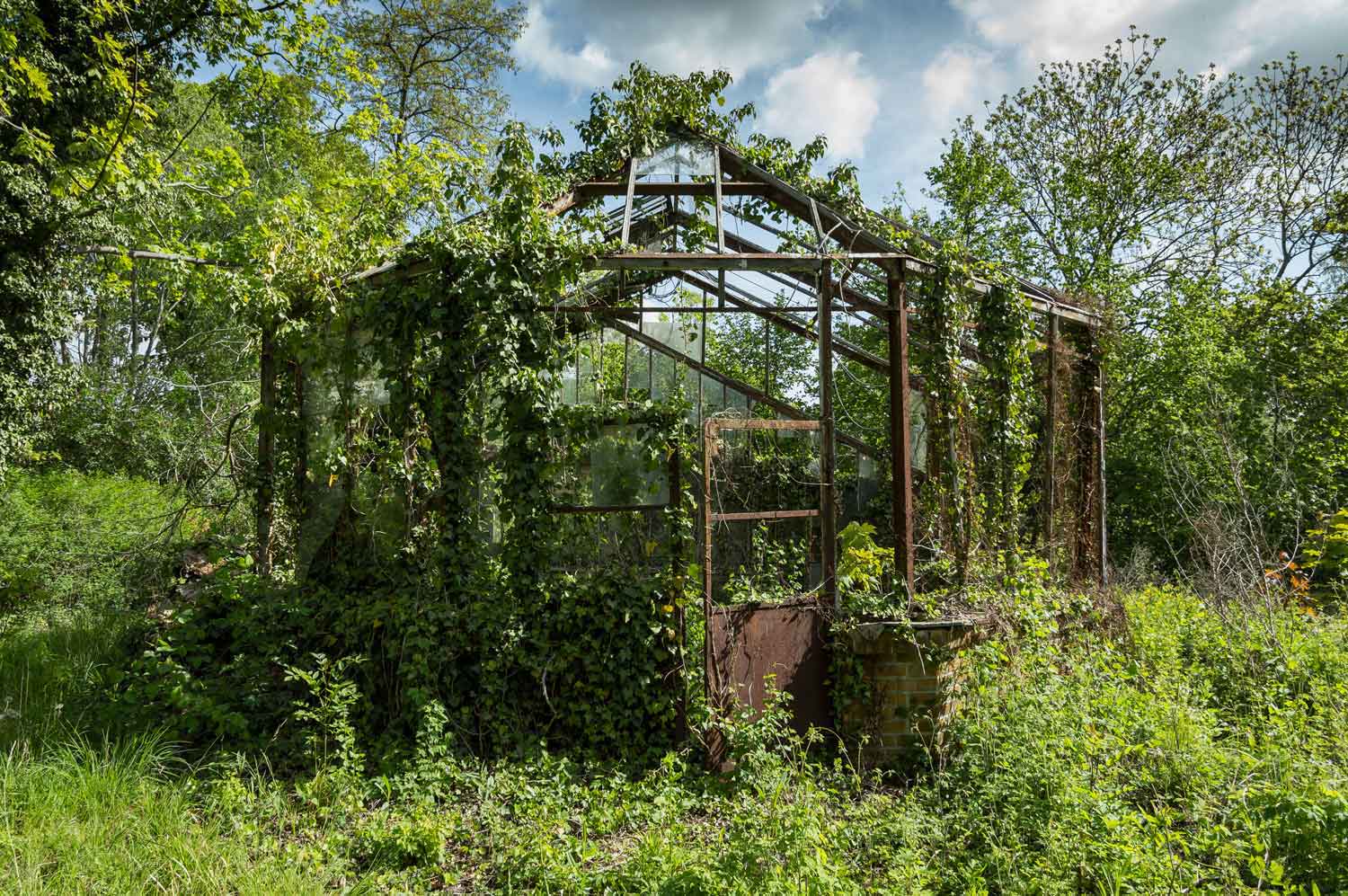 Eingesunkenes Gewächshaus an einem Elsterarm in Wehlitz Verwachsenes Gewächshaus