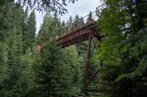 Brückenskelett im Wald