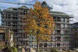 Vorschau - Herbstbaum auf Baustelle