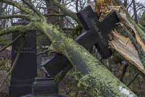 Vorschau - Durch Sturm zerstörtes Grabkreuz