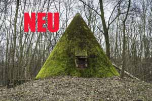 Zum Beitrag 'Trümmerlandschaft im Unterholz'